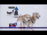 Ekspedisi Kereta Anjing Melintasi Gunung Artic di Swedia - NET24