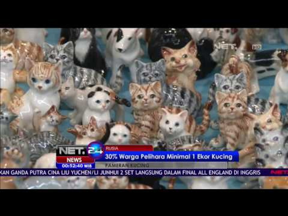 Pameran Kucing Internasional di Rusia Manjakan Para Pecinta Kucing - NET24