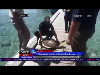 Petugas Mendatangi Keramba Penyu Ilegal Di Maluku - NET 24
