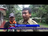 11 Pendaki Gunung Gede Pangrango Berhasil Dievakuasi - NET24