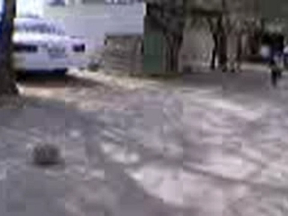 silly kid