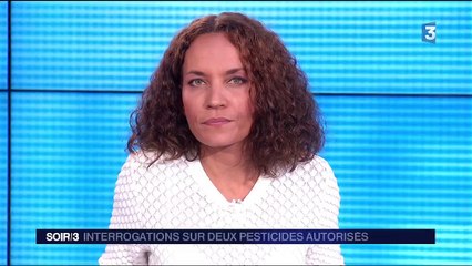 Abeilles : interrogations sur deux pesticides autorisés