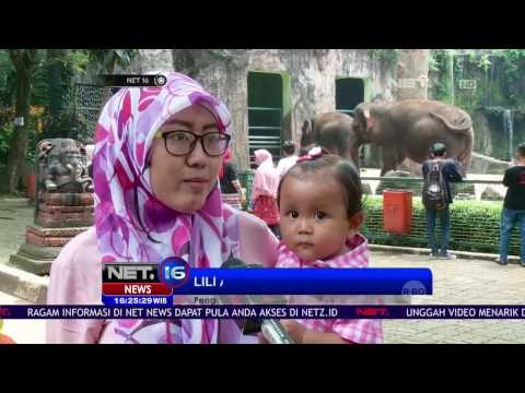 Taman Margasatwa Ragunan jadi Tempat Wisata Favorit Masyarakat Ibukota - NET16