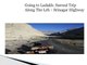 Going to Ladakh: Surreal Trip Along The Leh – Srinagar Highway