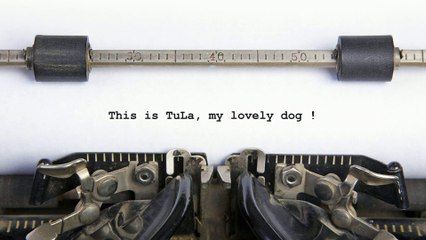 This is TuLa - My lovely dog - He's angry because  he's very hungry