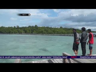 Penangkaran Penyu Jadi Lokasi Foto Favorit - Net 5