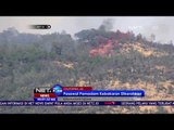 Kebakaran Hutan di California - NET24