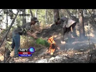 Download Video: Kebakaran Hanguskan Lahan Hutan Gunung Bukit Tunggul - NET12