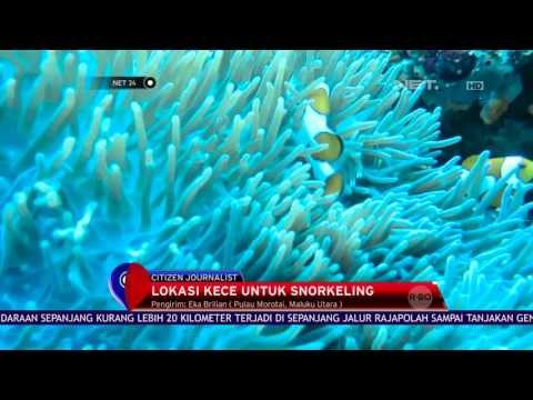 Morotai, Lokasi Kece Untuk Snorkeling - Net 24