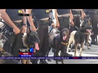 Tải video: Enam Ekor Anjing Disiapkan Untuk Pengawasan Penyelundupan Narkoba - NET 5