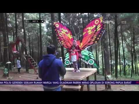 Berwisata Sambil Uji Adrenalin di Wisata Bukit Pinus Jombang- NET 5