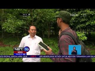 Diterkam, Polisi dan Warga Riau Siap Tangkap Beruang - NET16