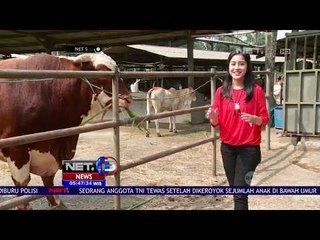 Wisata Sehat Telaga Sindur - Net 5