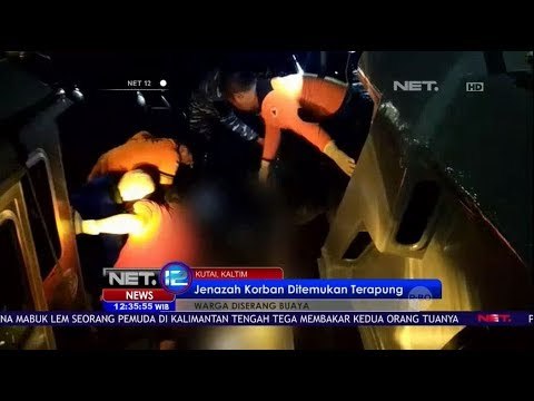 Jasad Pawang Buaya Yang Diterkam Buaya Ditemukan - NET12