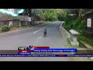 Desa Pangringsari Sepi Sejak Evakuasi - NET 12