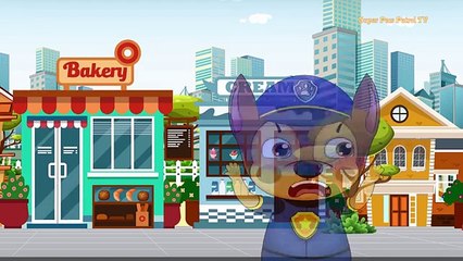 Paw Patrol Ep Everest Rescues Chase From The Kidnapper! Mision Paw Funny Story by William