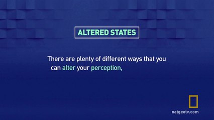 Altered States | Brain Games
