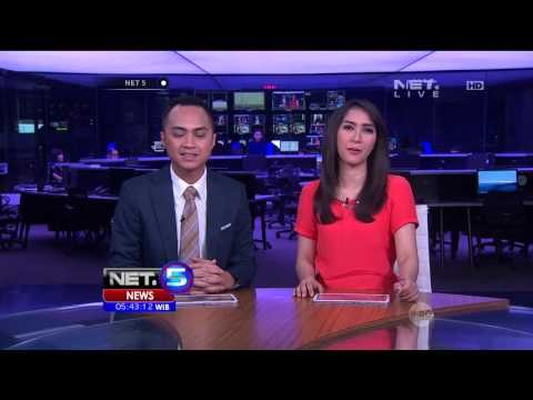 Pemerintah Cina Bantu Migrasi Sekelompok Bangau Putih ke Danau Poyang Cina - NET5