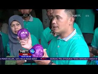 Inilah Sosok Ulus Pirnawan, Petani Teladan Yang Akan Meraih Penghargaan dari FAO - NET10