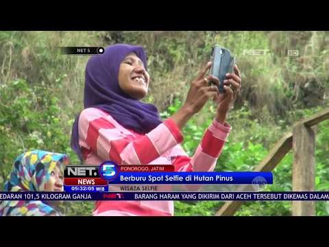 Berburu Spot Selfie di Hutan Pinus - NET5