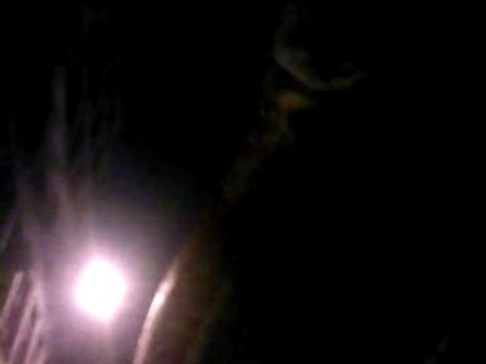 Cloverfield @ Toulouse