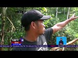 Seorang Kakek Tewas Tertimbun Longsor di Kabupaten Bogor - NET16
