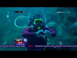 Tak Hanya Lewat Aquarium Kaca, Kini Pegunjung Sea World Ancol Bisa Lakukan Fun Dive! - NET12