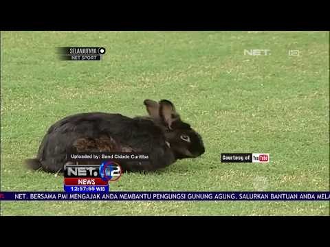 Deretan Stadion Unik dari Seluruh Dunia - NET12