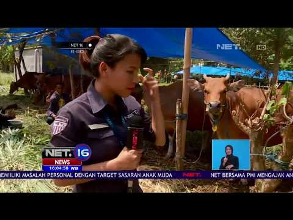 Pengungsi Gunung Agung Capai Angka 100 Ribu Jiwa, BNPB Sudah Pasang Alarm Peringatan Erupsi - NET16