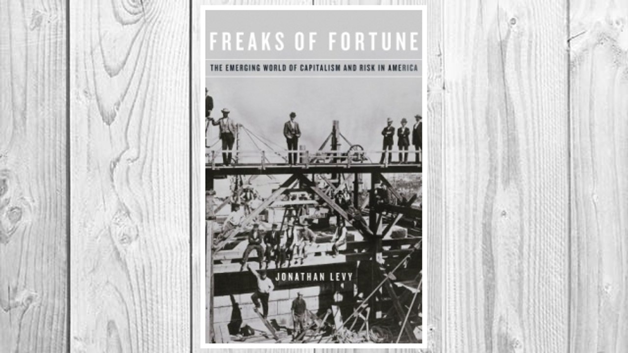 Download PDF Freaks of Fortune: The Emerging World of Capitalism and Risk in America FREE