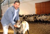 Ukrayna'dan Getirdiği Koyunlarla Ticarete Atıldı, Yıllık Cirosu 1.5 Milyon TL'ye Ulaştı