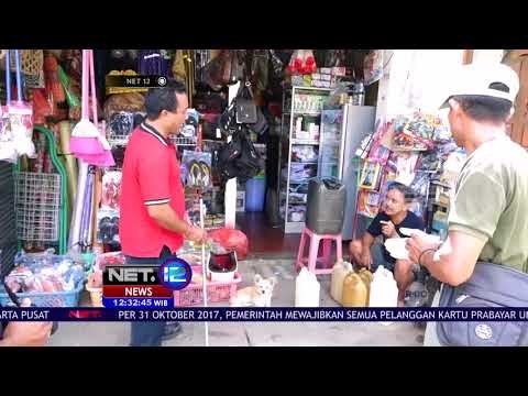 Ratusan Anjing Dieliminasi Untuk Cegah Merebaknya Virus Rabies - NET12