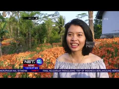 Selfie Cantik Bareng Bunga Amarillys yang Lagi Hits - NET12