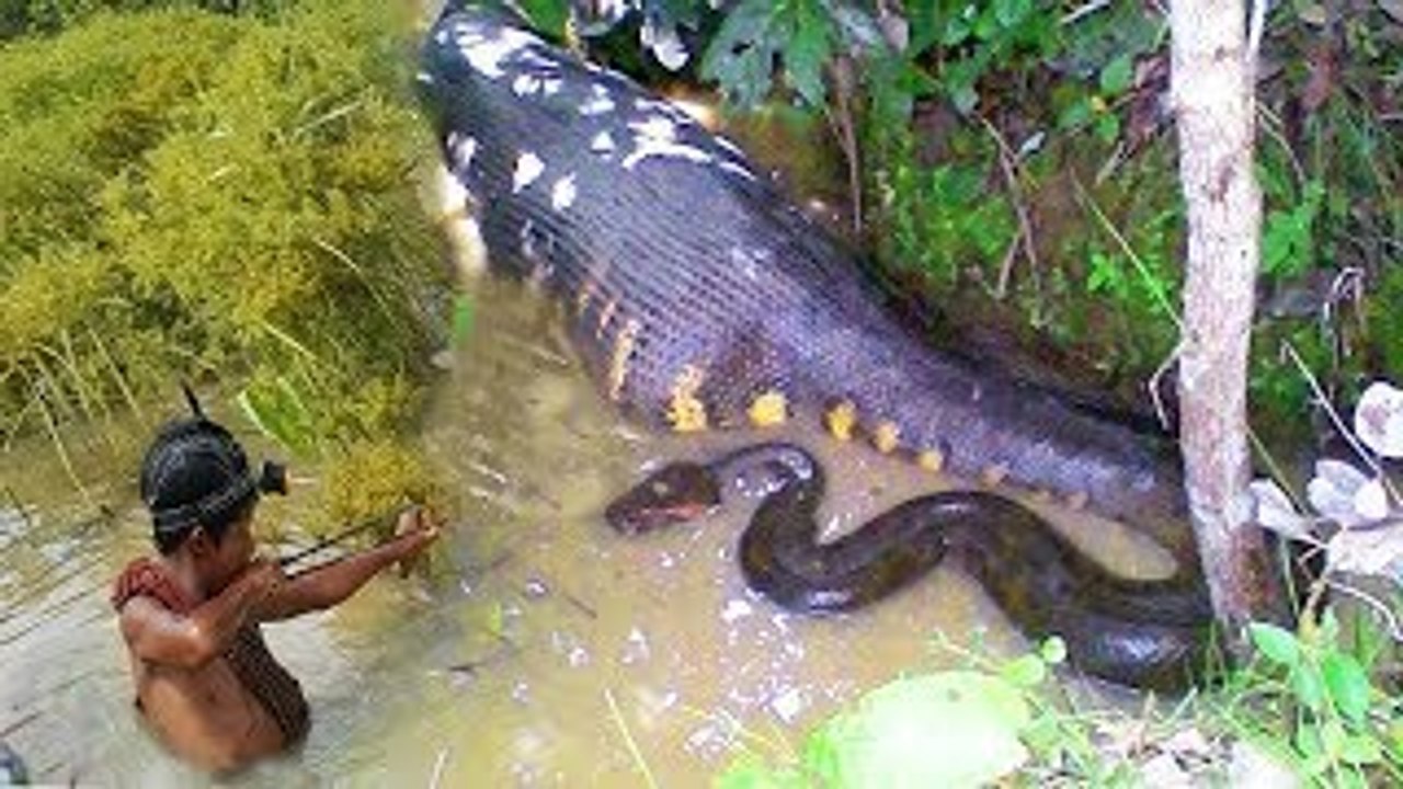 Terrifying!! Brave Little Sister And Brother Catch Very Big Snake While Shooting Bird