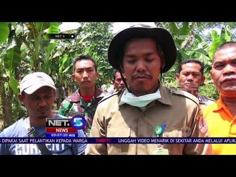 Gajah Sumatra Ditemukan Tewas Diduga Tersengat Listrik - NET5