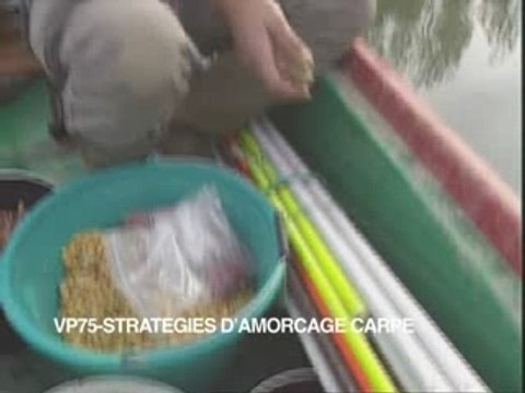 Stratégies d'amorçage carpe