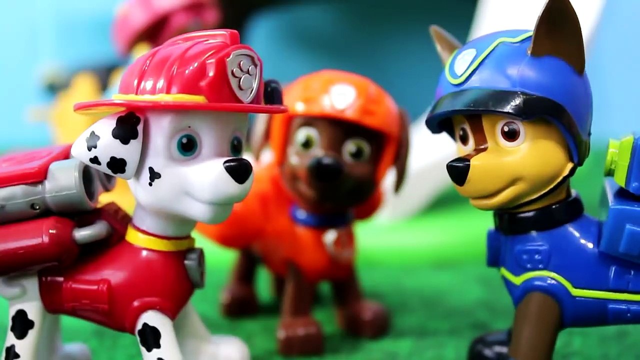 Skye da Patrulha Canina Apaixonada por Chase