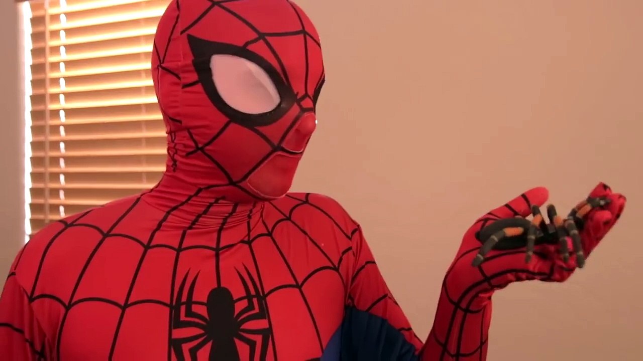 HUGE SPIDER INFESTATION ON BACK Compilation! With Spiderman and Scary Spider Bites and Attacks!