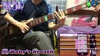 【天使の3P!】楔を弾いてみた (Bass cover)【Baby’s breath】