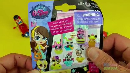 Littlest Pet Shop Surprise Egg Learn-A-Word! Spelling Holiday Words! Lesson 20