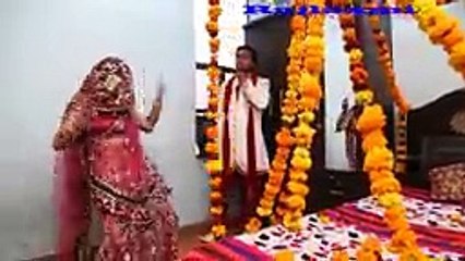 Funny VIdeos  Most Shared Funny VIdeos