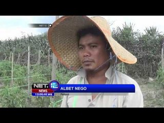 下载视频: Dampak Aktivitas Vulkanik Gunung Sinabung yang Kembali Meningkat - NET12