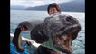 Des pêcheurs japonais attrapent un ÉNORME monstre dans la mer près du site du désastre nucléaire de Fukushima