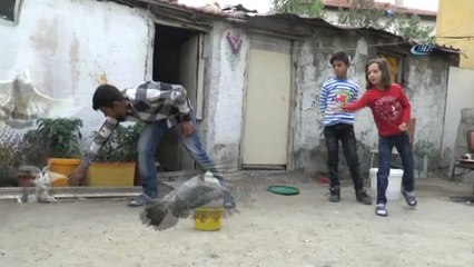 Suriyeli Sağır Kardeşler Güvercinlerinin Sesini Duymak İstiyor