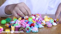 [DITUTUP] GiveAway 50K Subscriber ❤ Surprise Lot of 100 Shopkins Season 1, 2, 3, 4 ❤ Fan Mail
