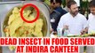 Indira Canteen : Dead insect found in food served, Watch Video | Oneindia News