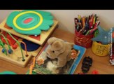 Kod logopeda već sa šest meseci, 21. oktobar 2017. (RTV Bor)