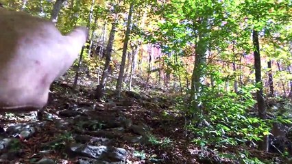Vermont Long Trail with the Hickerys and Maple King....Part 3