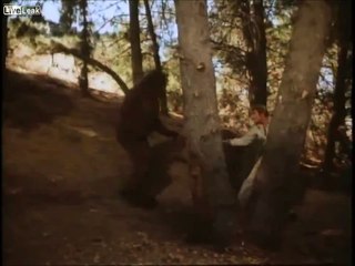 Six Million Dollar Man (Steve Vs. Bigfoot)