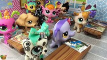 Okul Maceraları Bölüm 5 - Minişler Cupcake Tv - Littlest Pet Shop LPS - Minişler Okulda/Sınıfta